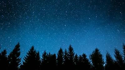 trees and stars